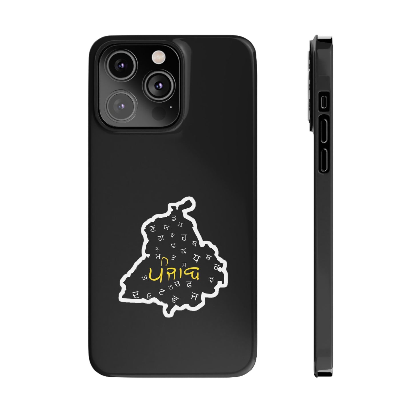 Punjab Map Phone Case