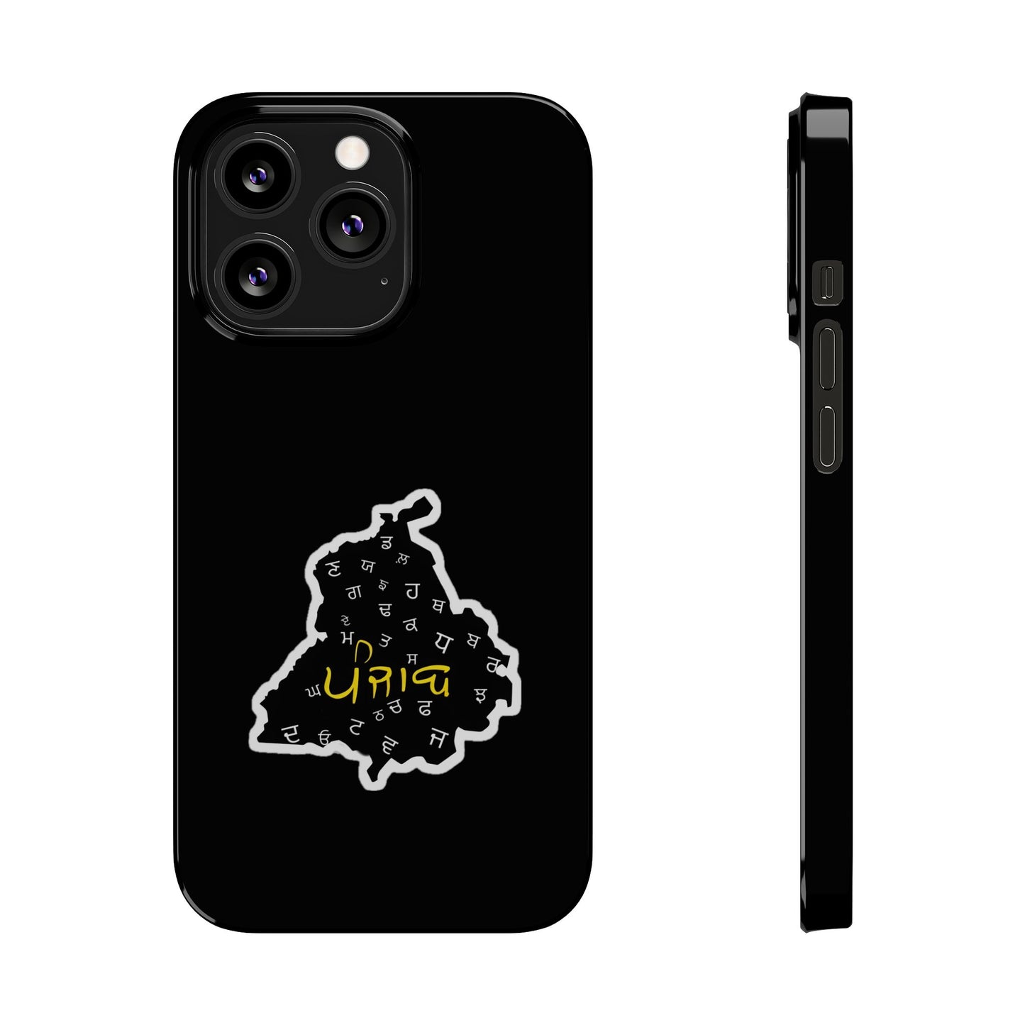 Punjab Map Phone Case